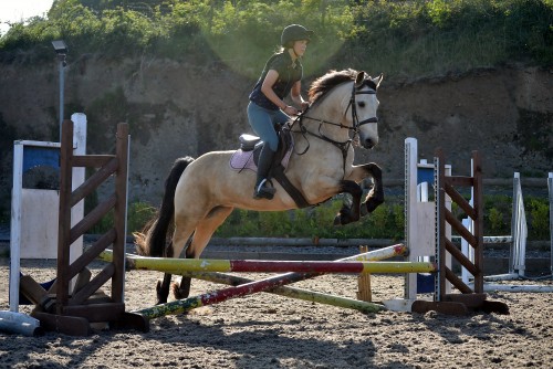 Jumping lessons Girl jumping dun pony